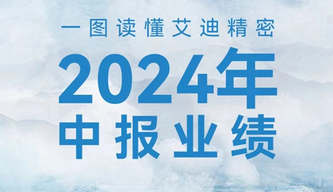 稳健增长！一图读懂万向娱乐精密2024年中报业绩